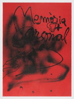 Memoria personal, 1988, Antoni Tàpies