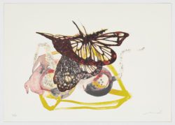 Mariposas (IV), 2019, Luis Moro