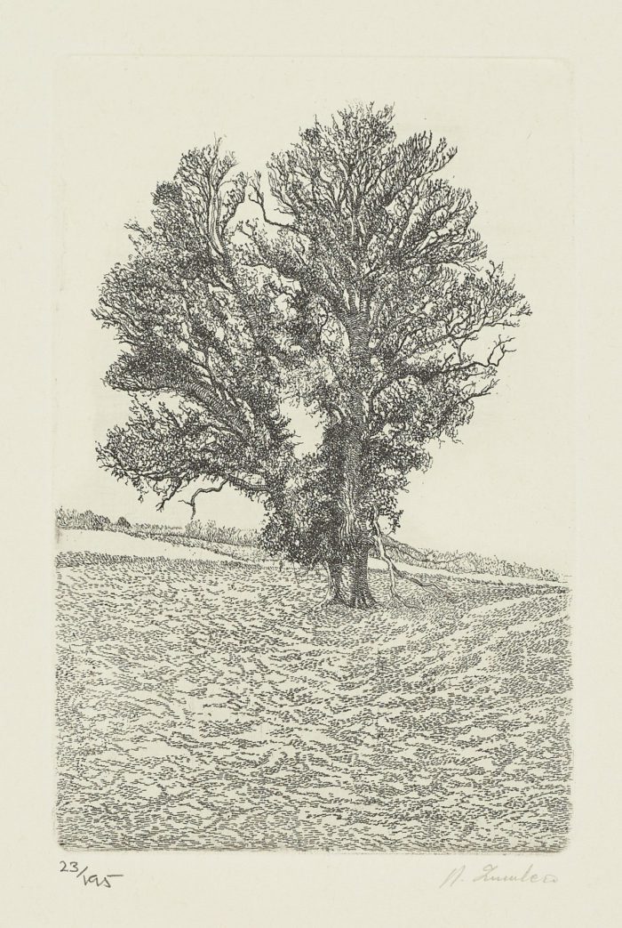 La voz del árbol, 1982, Daniel Quintero