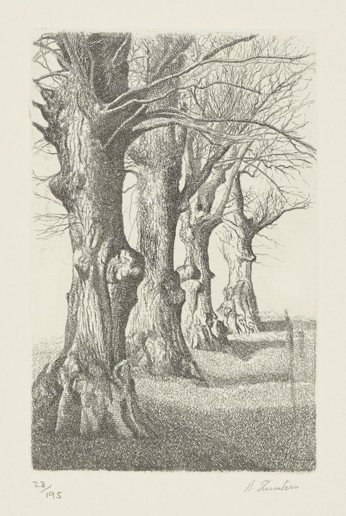 La voz del árbol, 1982, Daniel Quintero