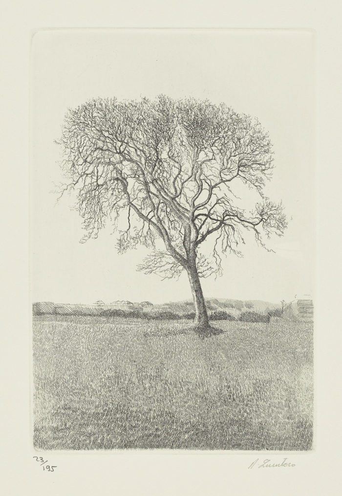 La voz del árbol, 1982, Daniel Quintero