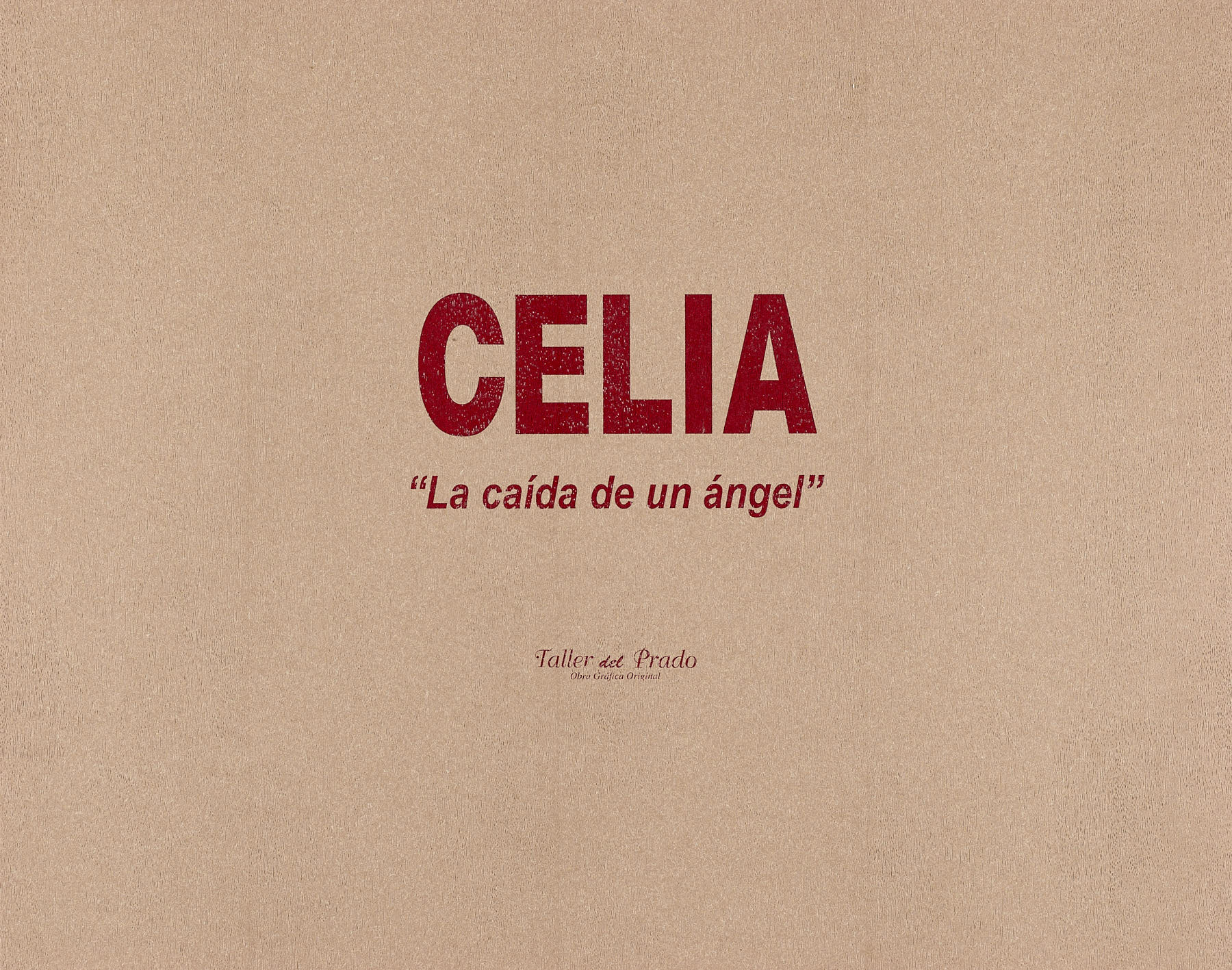 La caída de un ángel, 2008, Celia Muñoz