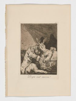 De que mal morira?, Francisco de Goya