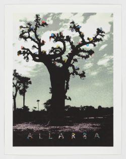 Allarba, 2006, Manuel Rufo Cabello