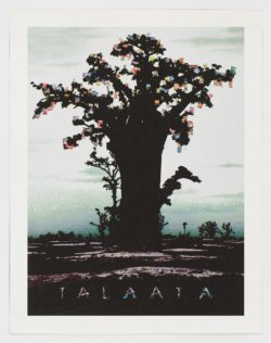 Talaata, 2006, Manuel Rufo Cabello