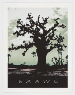 Gaawu, 2006, Manuel Rufo Cabello