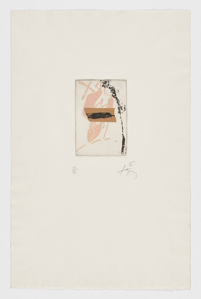 Venus, 1976, Antoni Tàpies